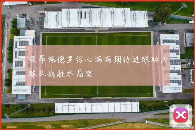 若昂佩德罗信心满满期待进球助力球队战胜水晶宫